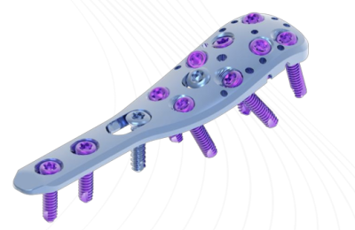 (IMAGE 4) ASTROLABE Small-Fragments