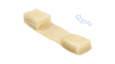 sterigraft-whole-patellar-tendon